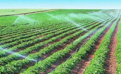 大鸡巴操小骚逼的，视频农田高 效节水灌溉